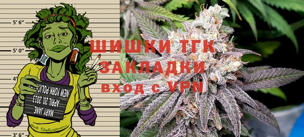 прущие грибы Абаза