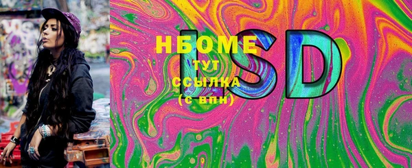 прущие грибы Абаза