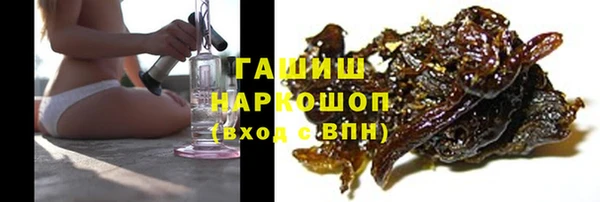 прущие грибы Абаза