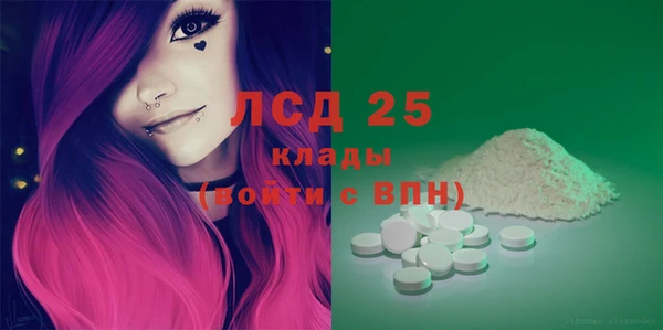 прущие грибы Абаза