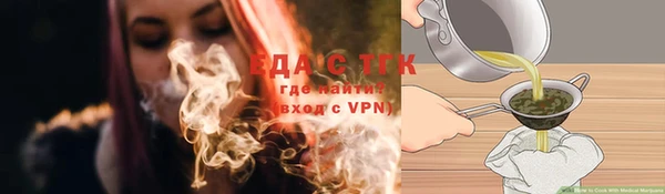 прущие грибы Абаза