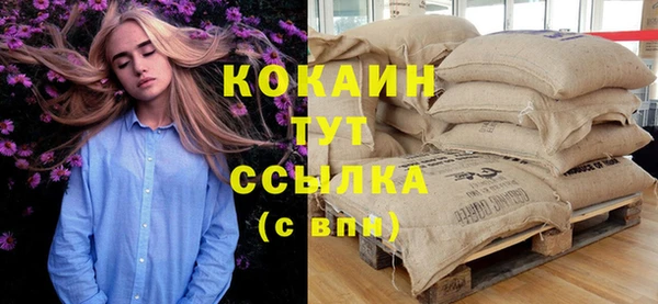 гашик Карталы