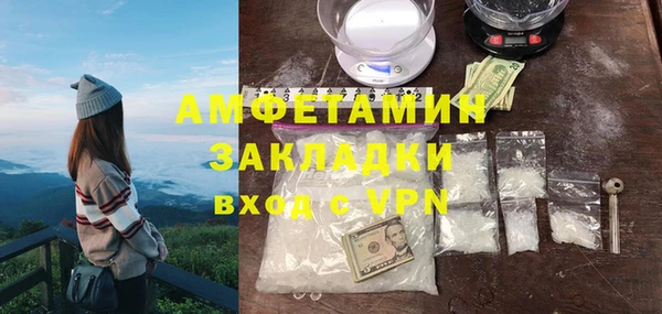 прущие грибы Абаза