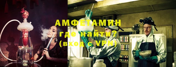 прущие грибы Абаза