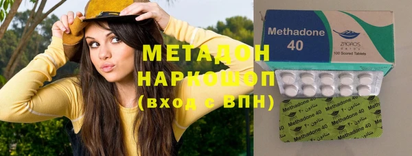 прущие грибы Абаза