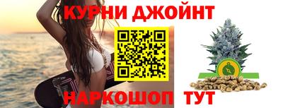 СК Дубна