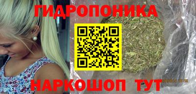 сатива Донской